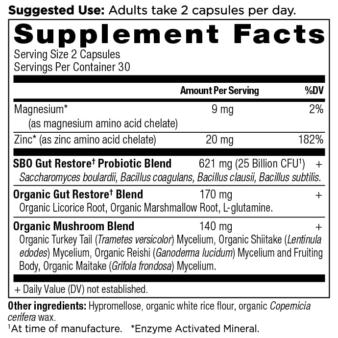 Ancient Nutrition SBO Gut Restore capsules for daily digestive support.