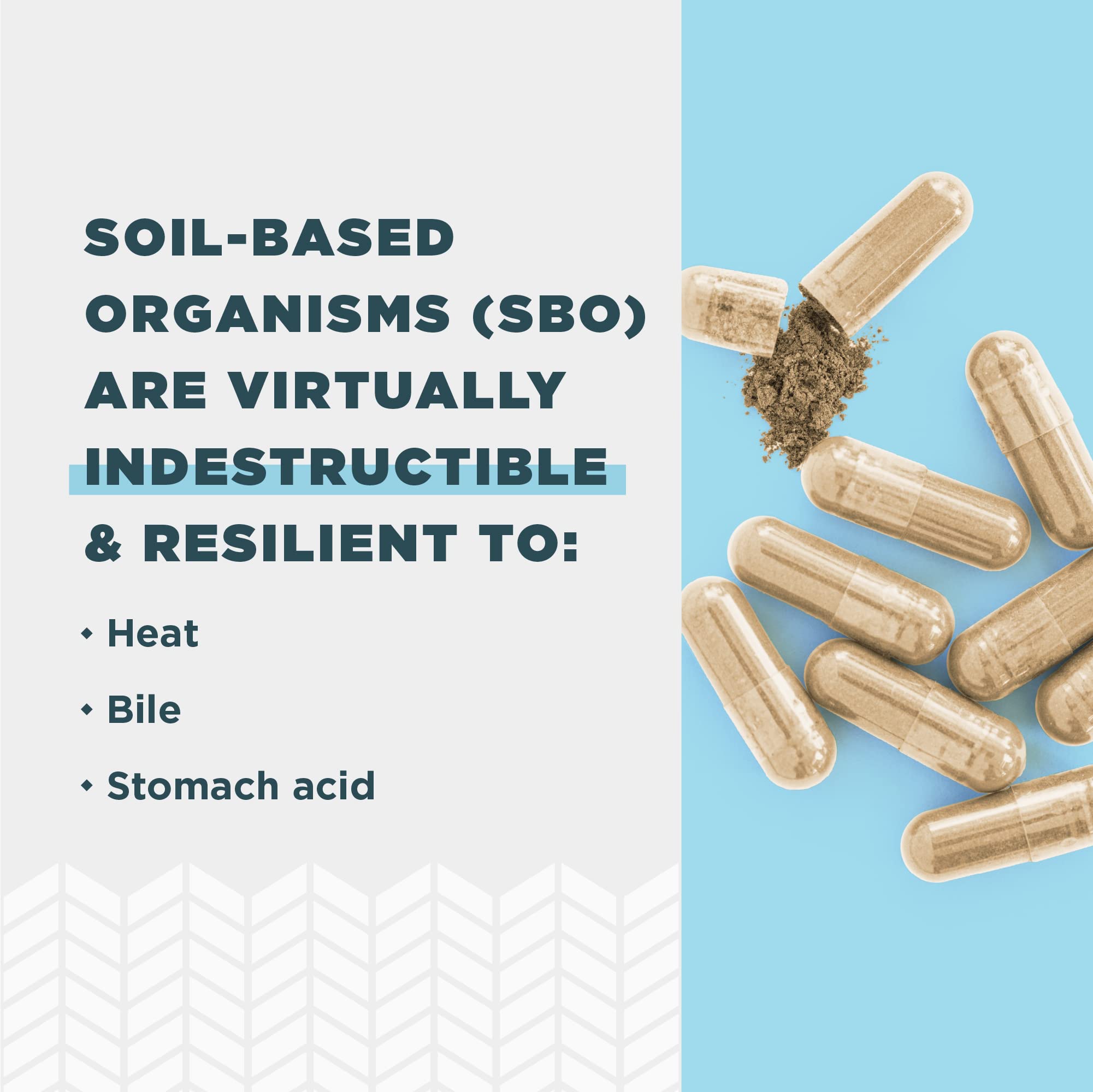 Pouring SBO Gut Restore capsules for easy daily use.