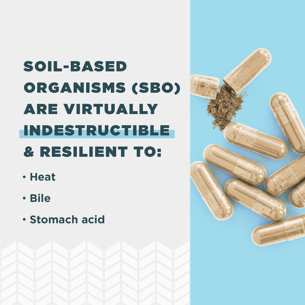 Pouring SBO Gut Restore capsules for easy daily use.