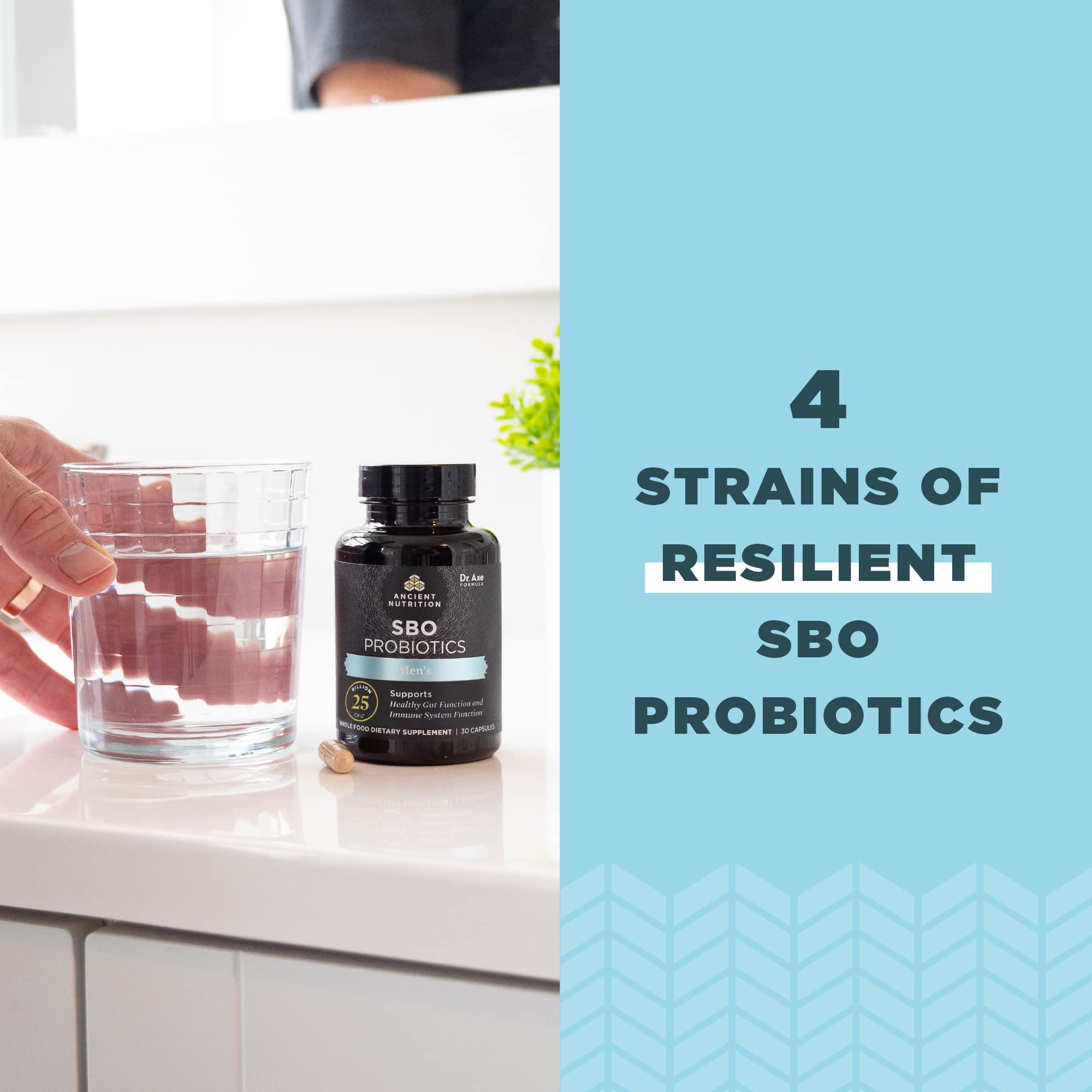Ancient Nutrition SBO Probiotics Men digestive support capsule arrangement demonstrating ease of use.