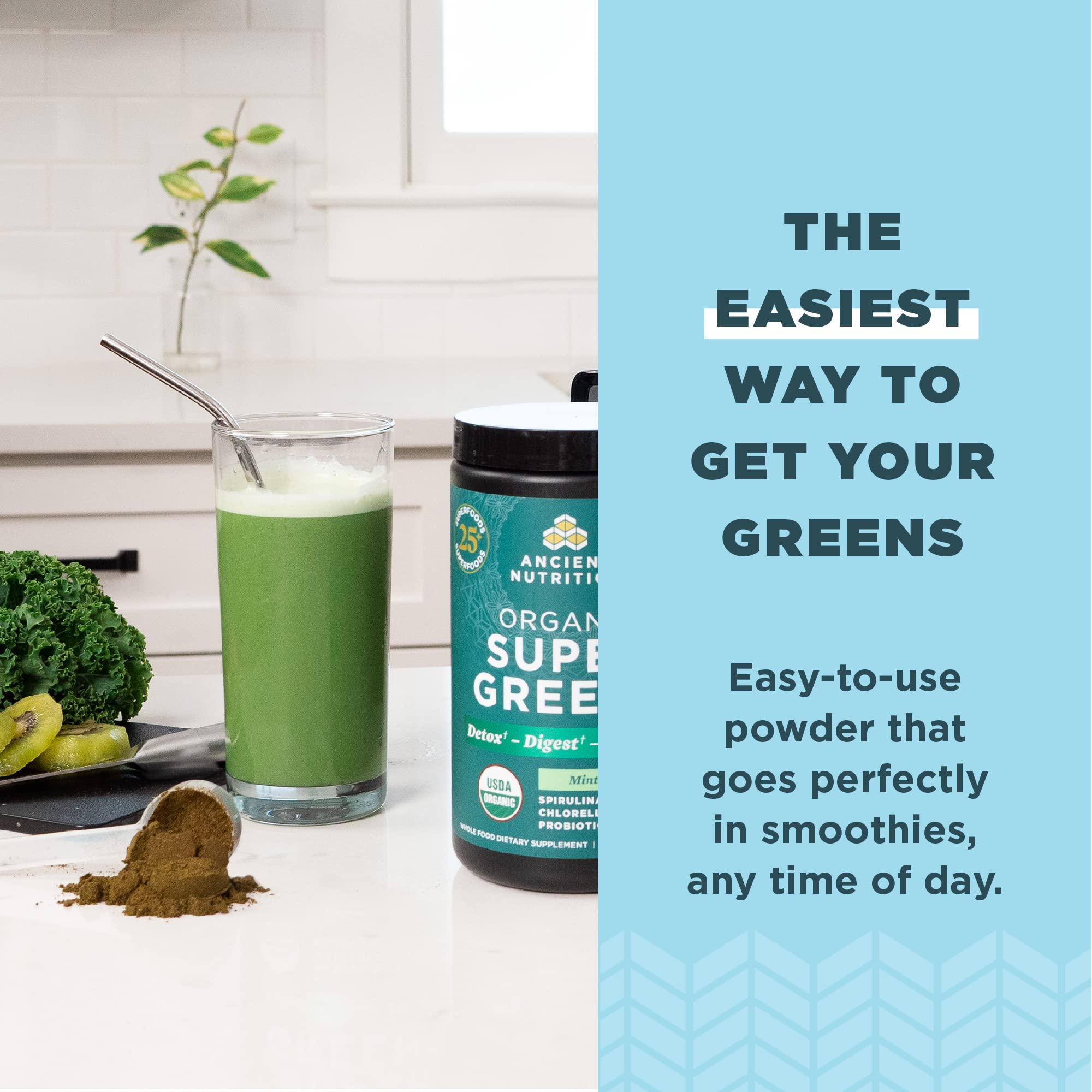 Ancient Nutrition SuperGreens Bacillus coagulans probiotic supports gut-friendly possibilities