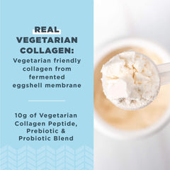 Ancient Nutrition collagen peptides scoop showing powder texture for easy mixing.
