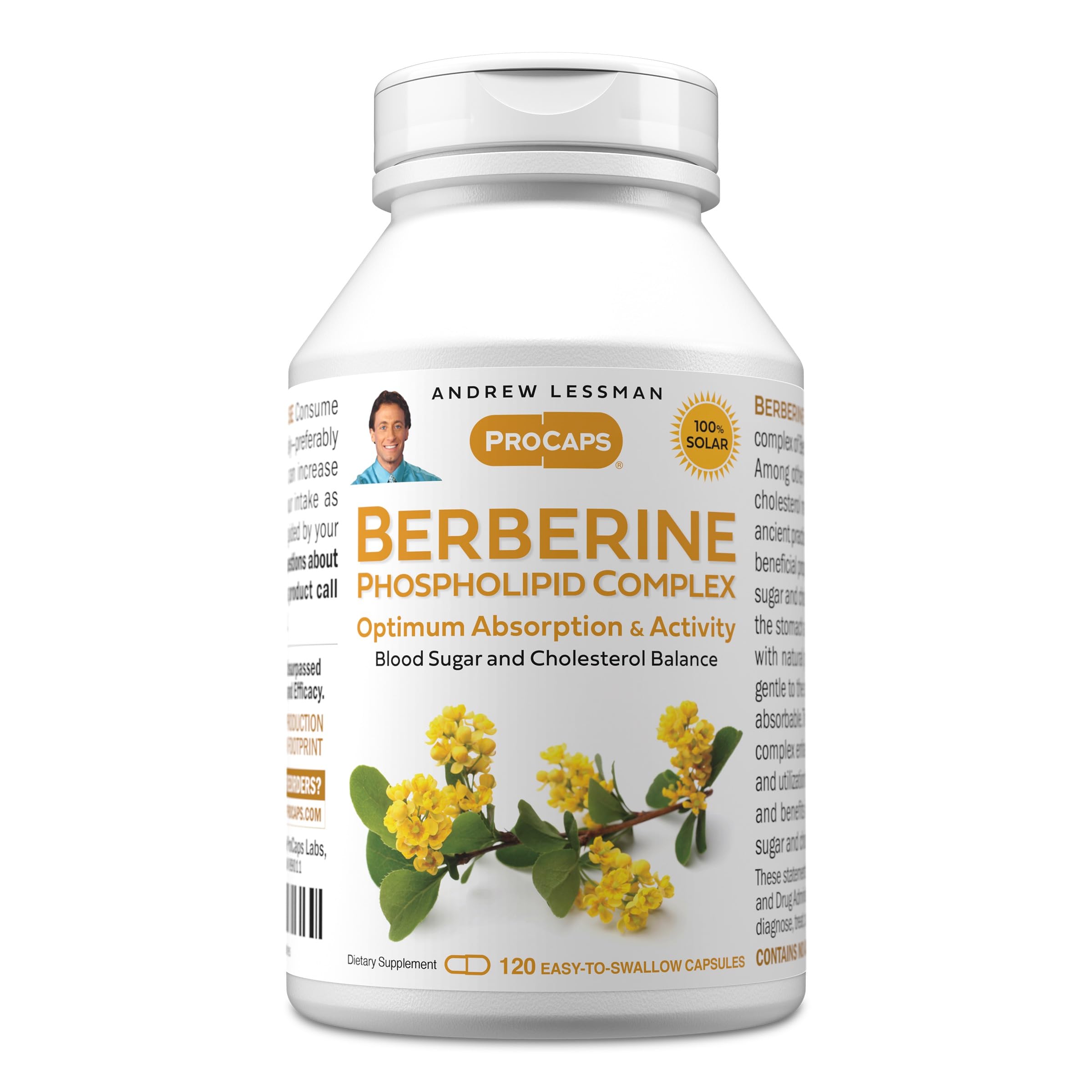 Andrew Lessman Berberine Phospholipid Complex bottle with compact capsules for daily support.