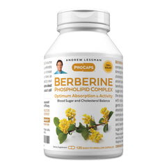 Andrew Lessman Berberine Phospholipid Complex bottle with compact capsules for daily support.