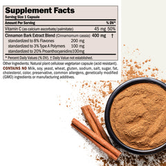 Closeup of Andrew Lessman Cinnamon 400mg capsules highlighting easy-to-swallow form