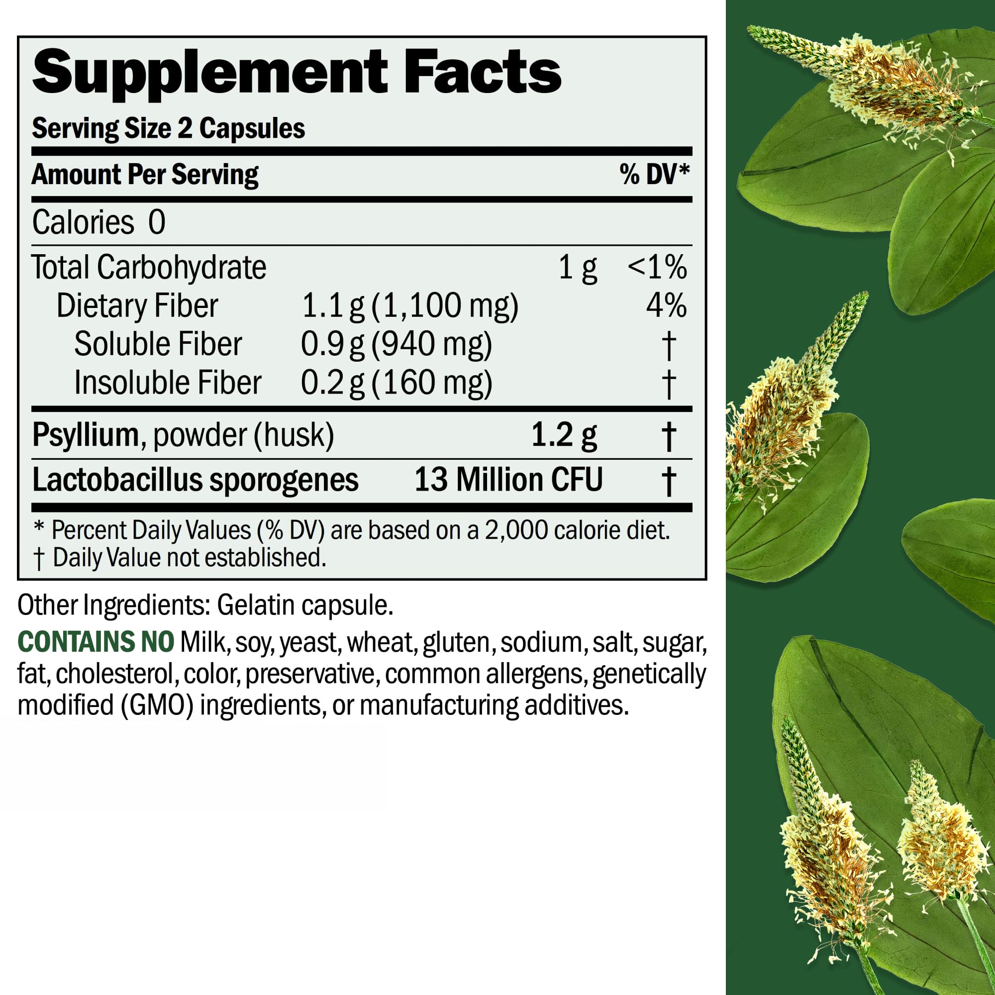 ANDREW LESSMAN Fibermucil capsules closeup highlighting easy-to-swallow capsules.