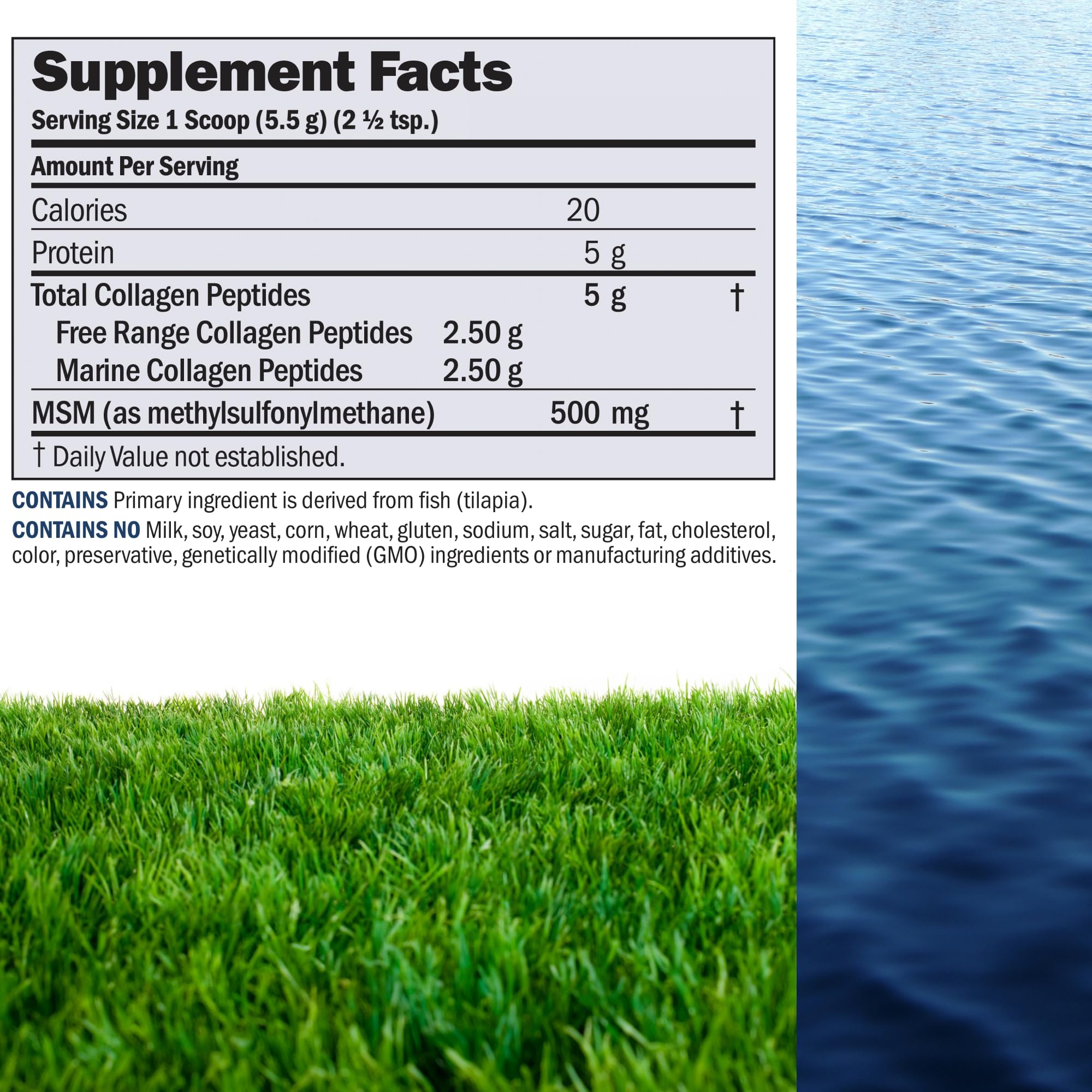 ANDREW LESSMAN Free Range Collagen Peptides with MSM bottle for clean source supporting tissue health.