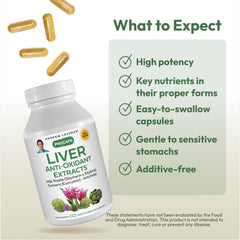 ANDREW LESSMAN Liver Anti-Oxidant Extracts bottle featuring artichoke extract components
