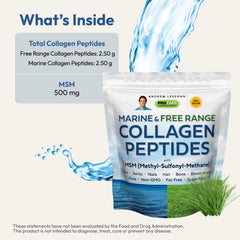 ANDREW LESSMAN Marine Collagen Peptides MSM powder and scoop for easy daily dosing.