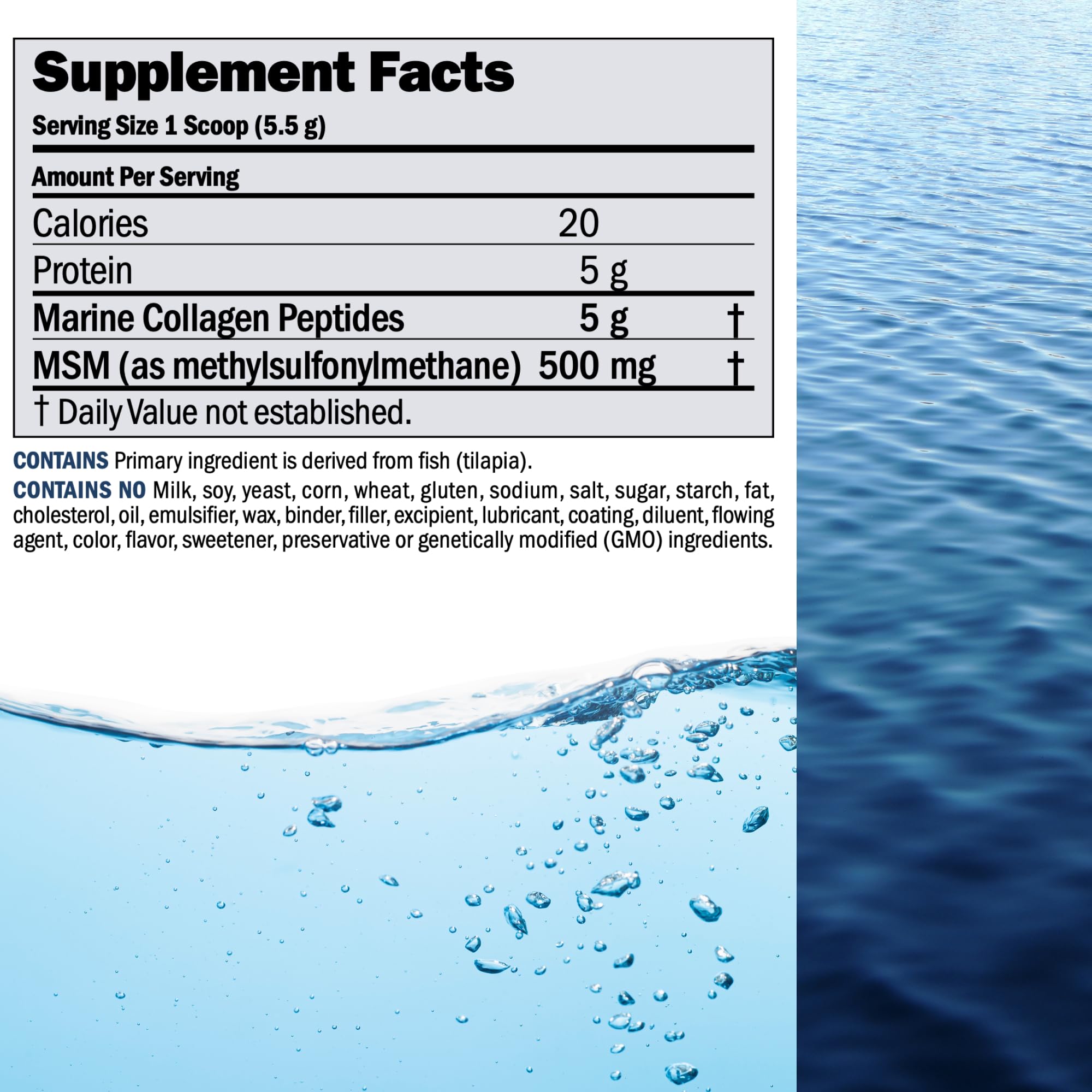 Andrew Lessman MSM bottle highlighting a 500 mg sulfur source for tissue support
