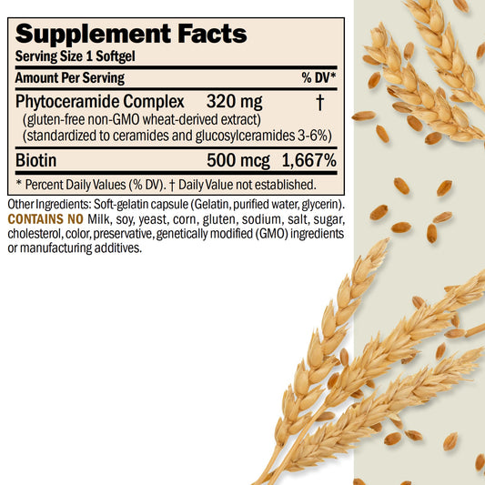 ANDREW LESSMAN Phytoceramides softgels close-up highlights easy-to-swallow daily capsules.