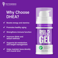 ANDROGENESIS DHEA 75 morning-evening-routine suggests consistent twice-daily use.