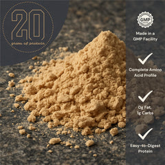Anea Plant Protein shake glass with smooth dairy-free texture.
