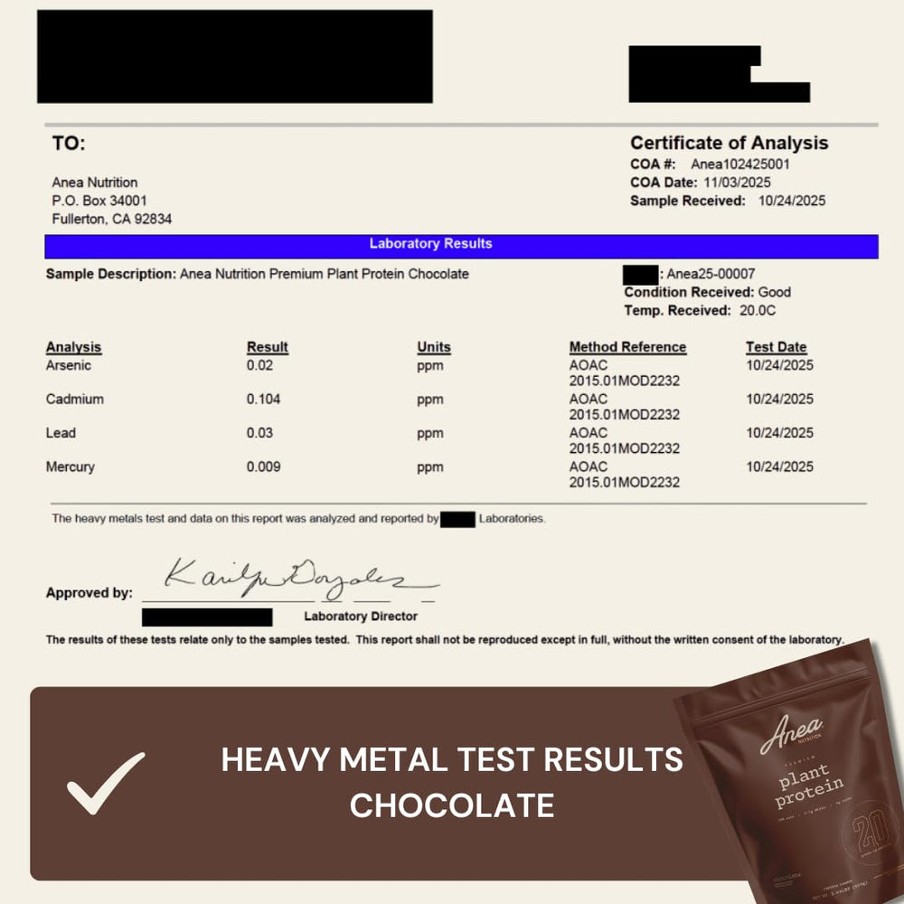 Anea Plant Protein Chocolate serving with dairy-free milk option.