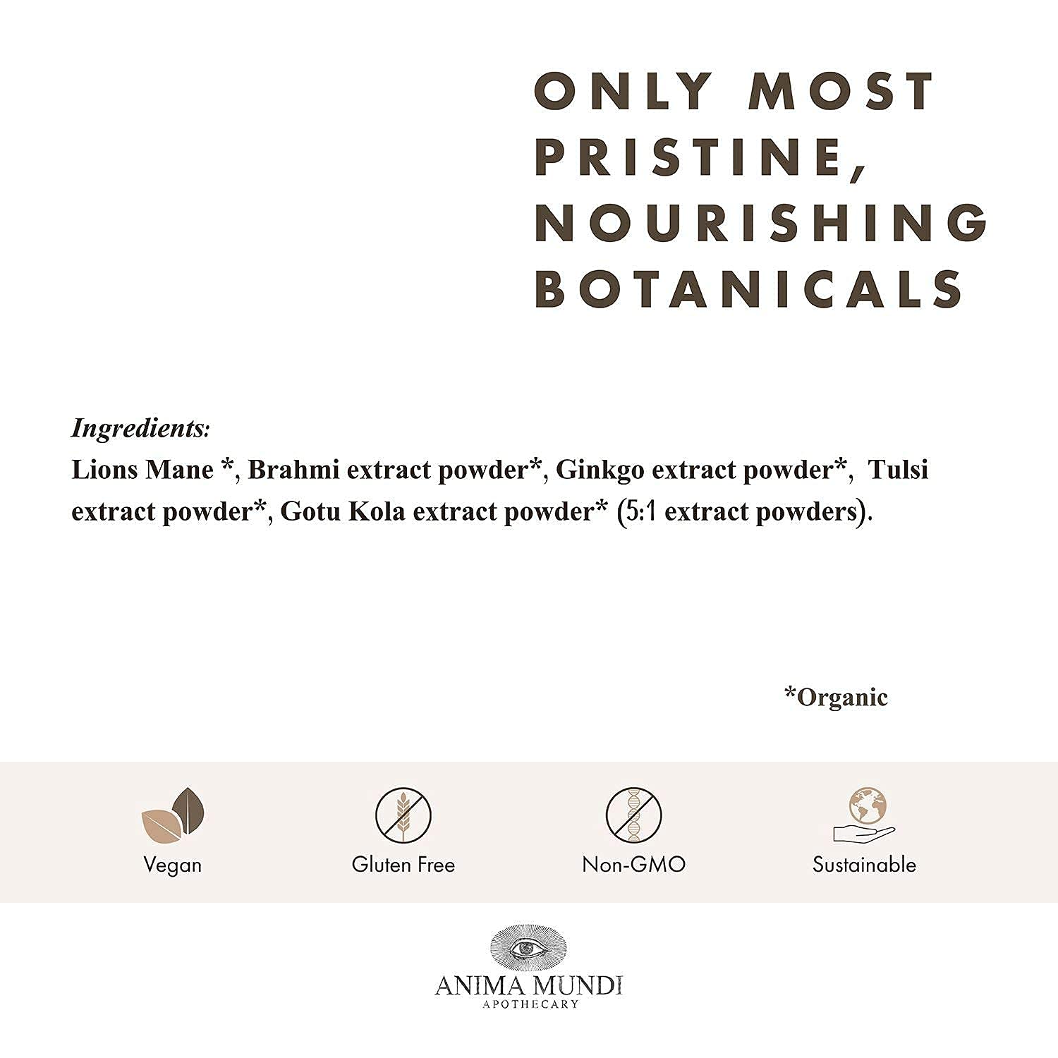 Anima Mundi Ginkgo biloba leaves display traditional cognitive support.