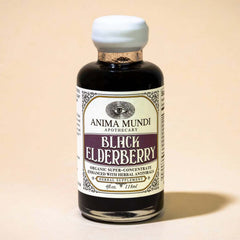 Ingredients close-up showing elderberry and medicinal mushrooms for daily wellness.