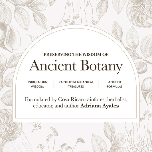 Close-up of Anima Mundi Apothecary moringa powder jar emphasizing purity and organic quality