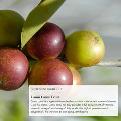 Anima Mundi Apothecary Superfruit Bliss herbal close-up shows adaptogens for beauty potential.