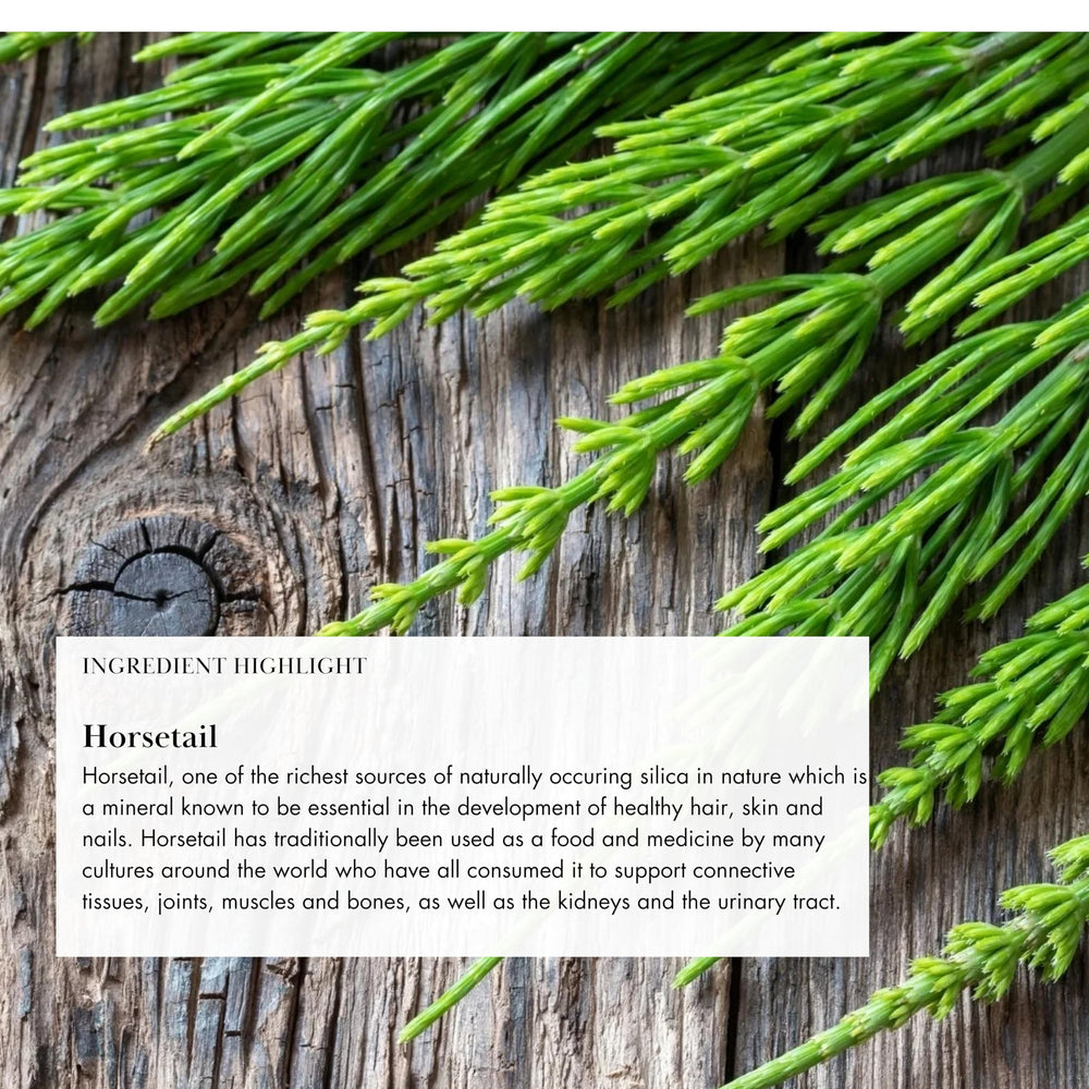Anima Mundi Apothecary Superfruit Bliss ingredients list highlights plant-based botanicals.