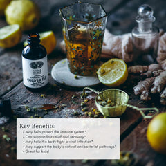 Anima Mundi Cold's & Flu Tonic dropper ready for precise dosing and immune support.