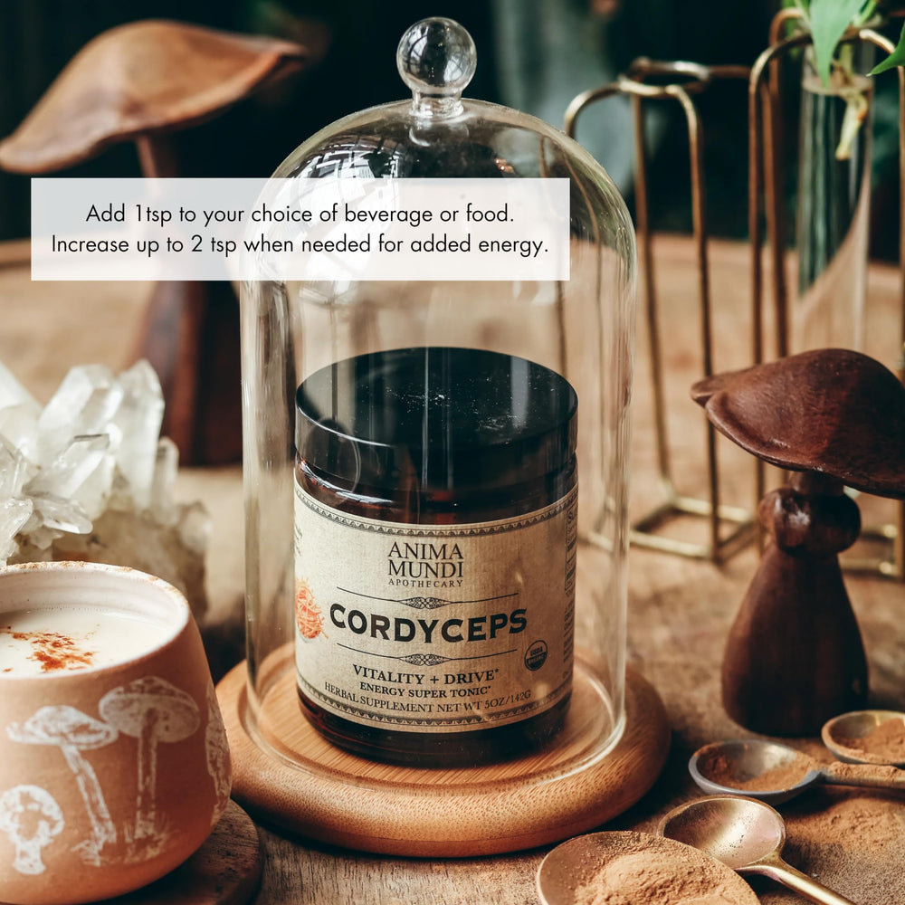 Cordyceps powder scoop shown for easy measure during daily routine