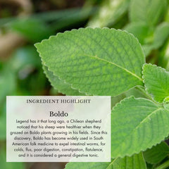 Echinacea angustifolia root with Anima Mundi branding for herbal balance.