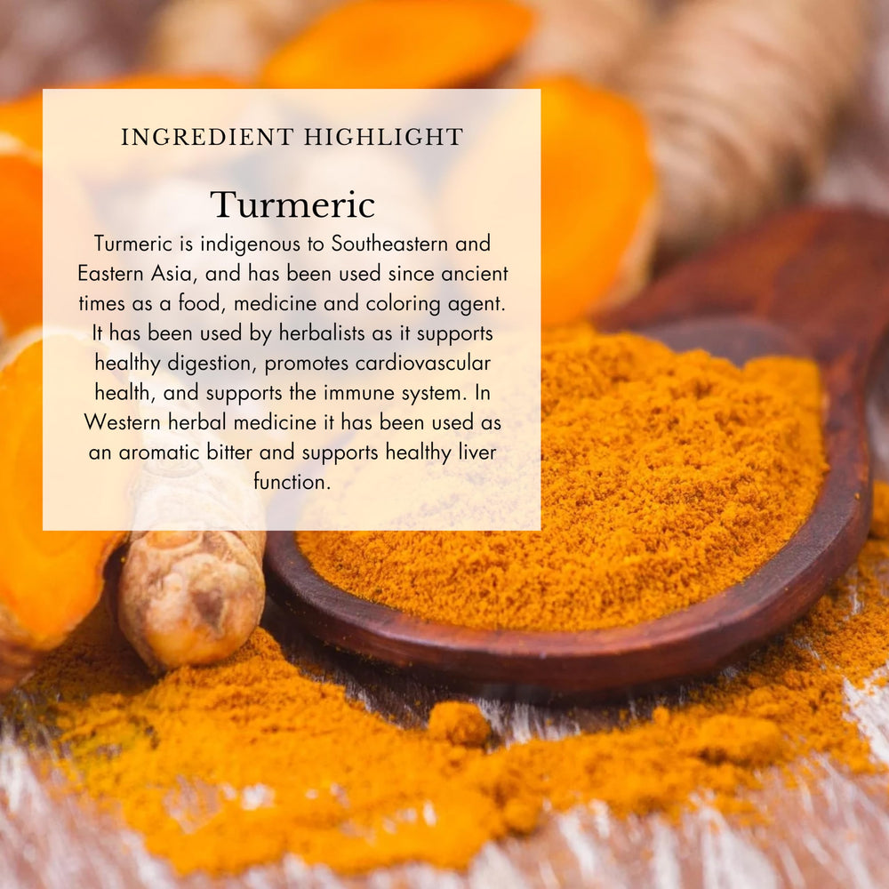 Echinacea purpurea root with Anima Mundi branding for seasonal wellness support.