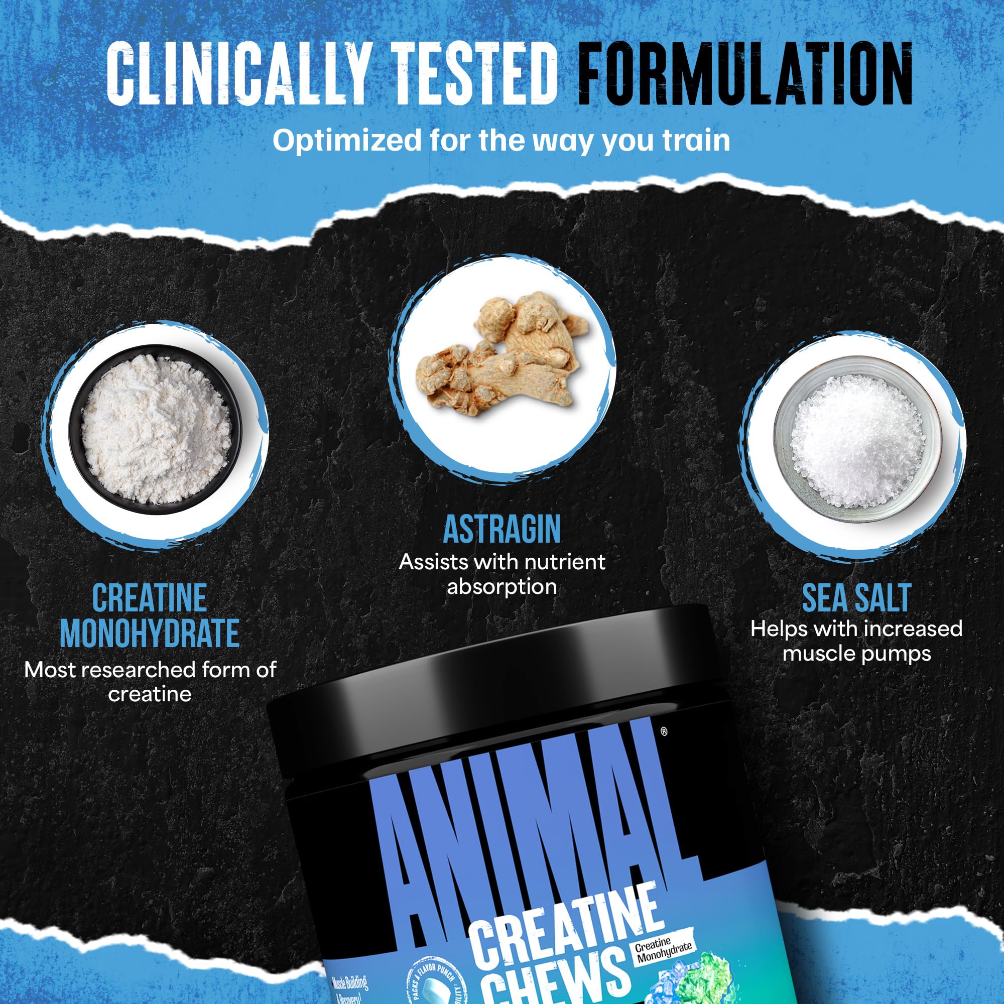 Compact tub inside a gym bag for travel-friendly supplementation.