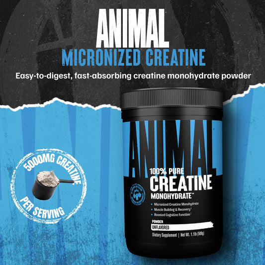 Close-up of Animal Creatine Monohydrate powder bottle showing purity