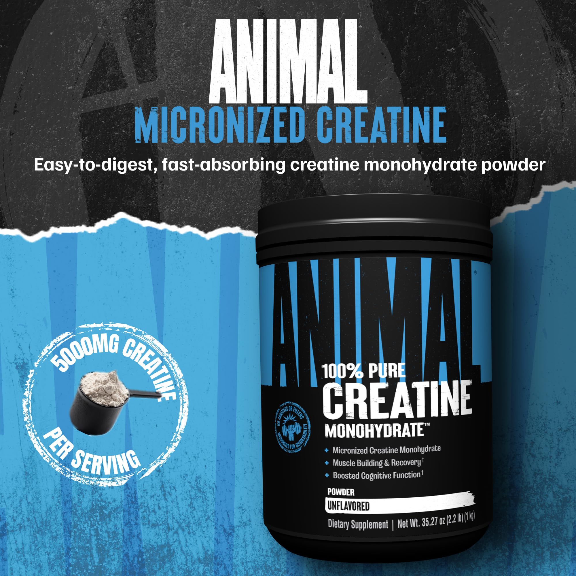 Animal Creatine Monohydrate powder scoop included for easy daily dosage.
