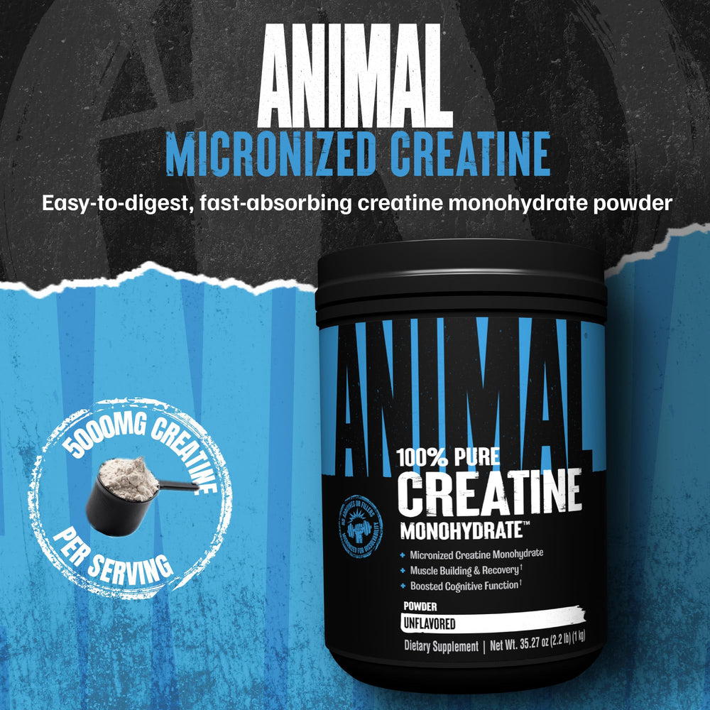 Animal Creatine Monohydrate powder scoop included for easy daily dosage.
