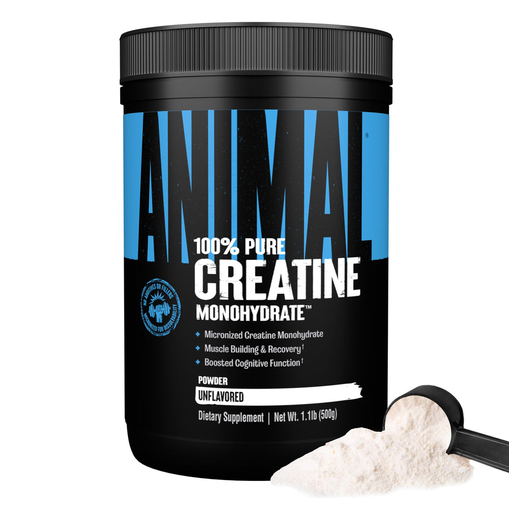 Animal Creatine Monohydrate powder scoop ready for pre-workout use