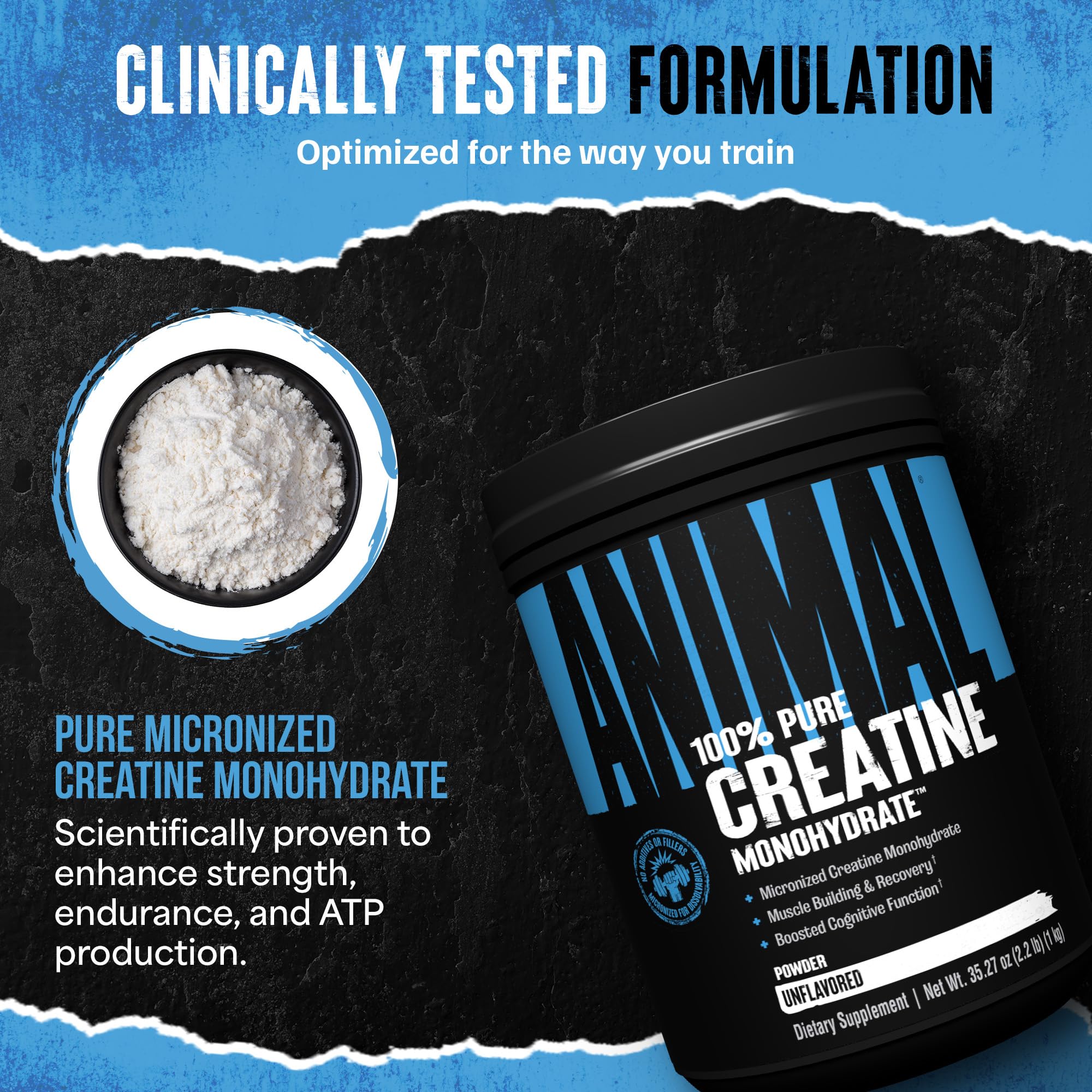 Animal Creatine Monohydrate powder in shaker bottle during gym session.