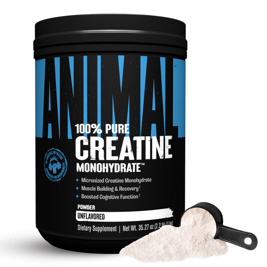 Animal Creatine Monohydrate powder tub ready for strength and endurance workouts.