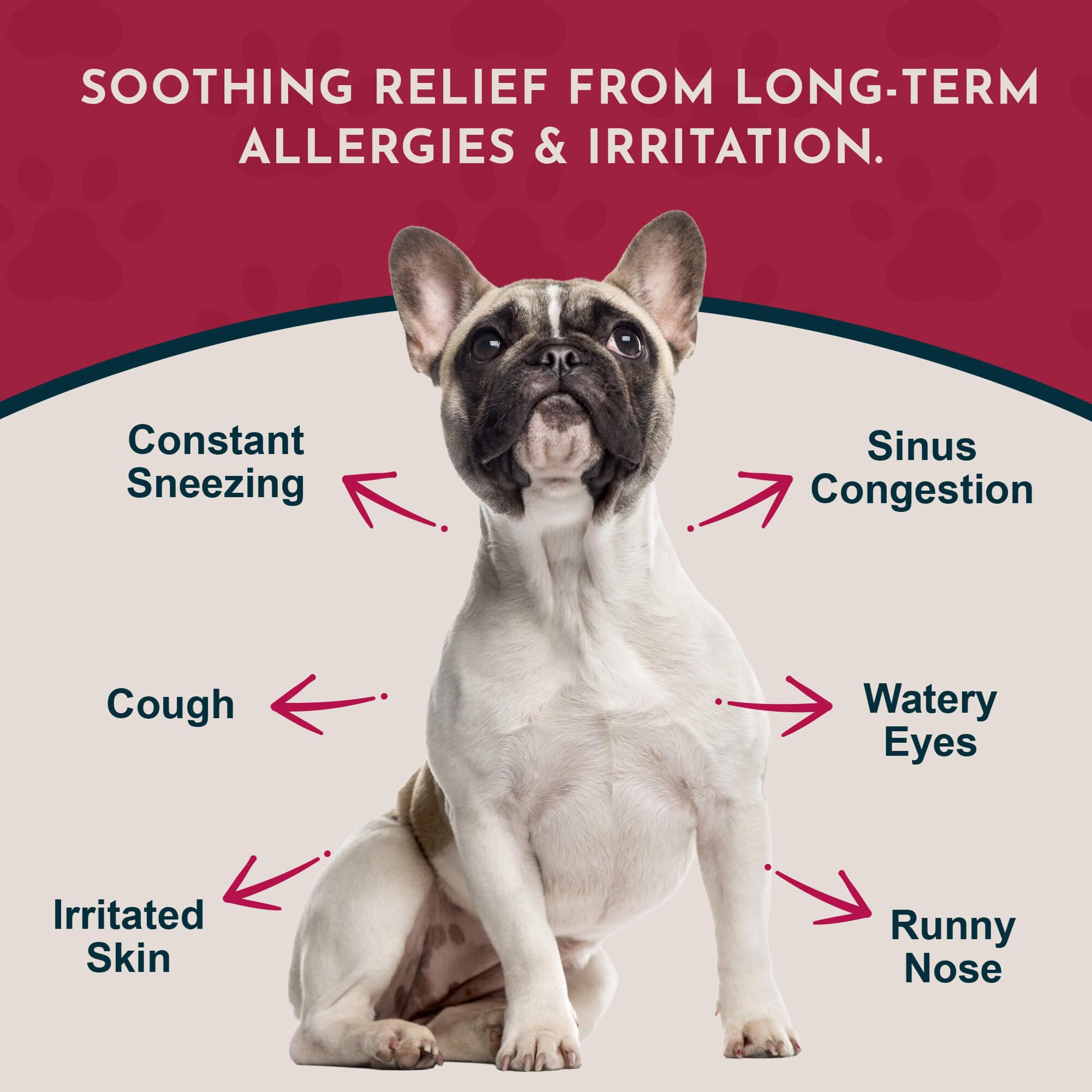 Animal Essentials quercetin-boost ingredient highlighting histamine balance potential.