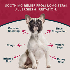 Animal Essentials quercetin-boost ingredient highlighting histamine balance potential.