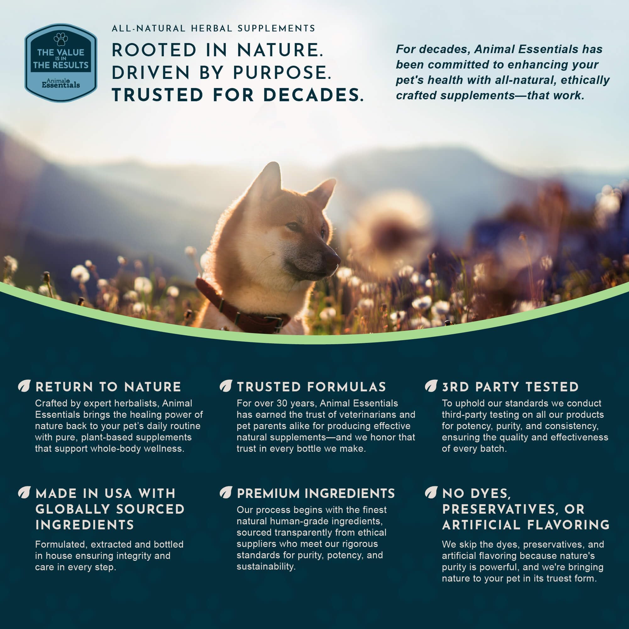 Seaweed Calcium mixed into dog and cat meals for easier feeding