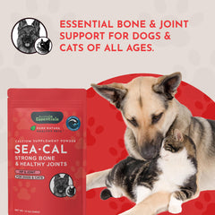 Lab testing seal on Animal Essentials Seaweed Calcium batch