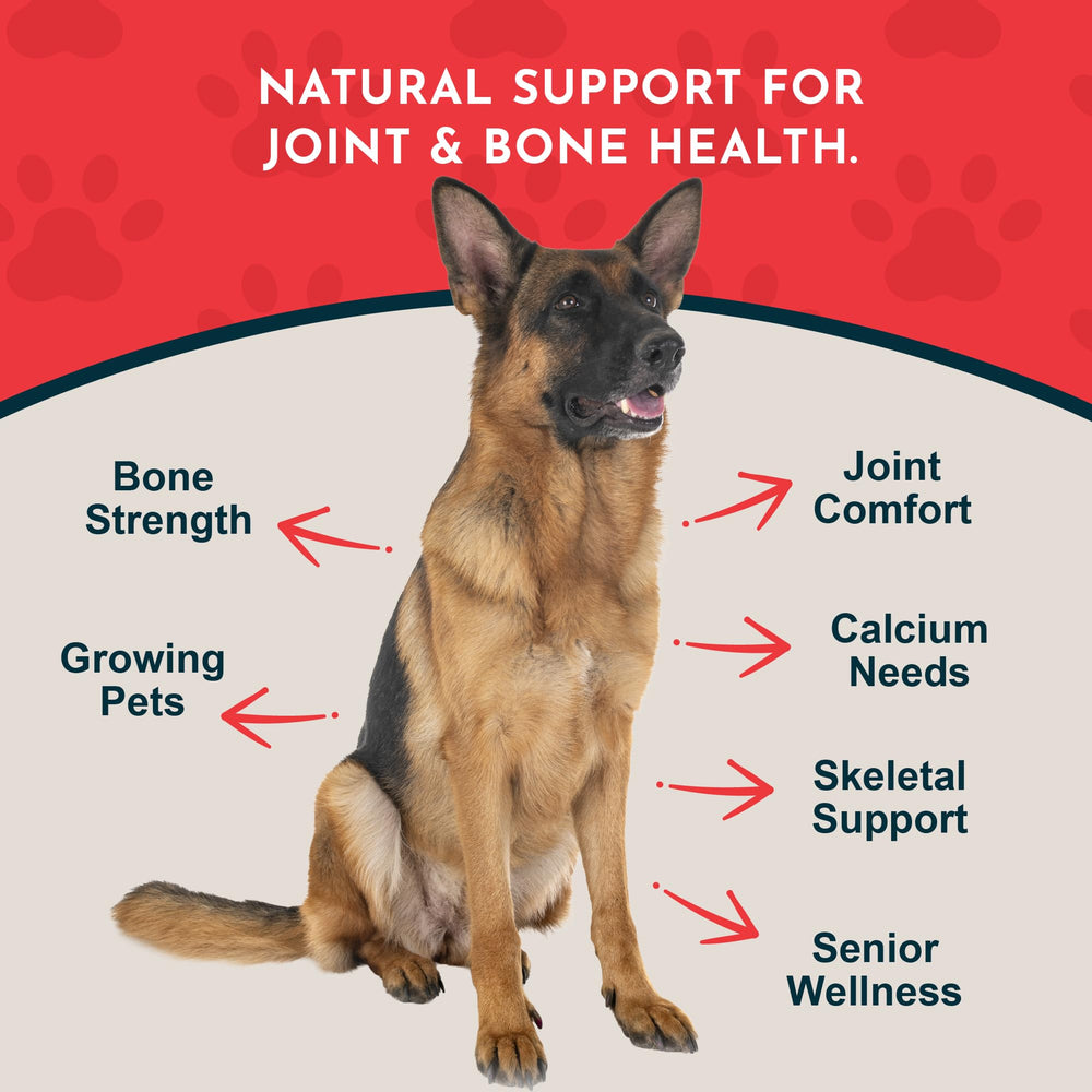 Seaweed Calcium measured scoop from Animal Essentials for precise dosing
