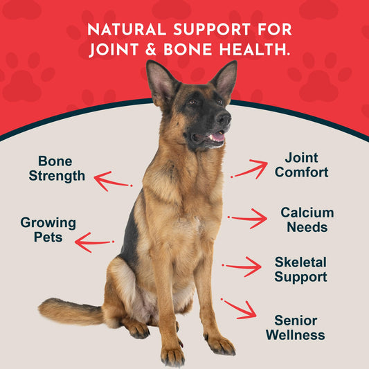 Seaweed Calcium measured scoop from Animal Essentials for precise dosing