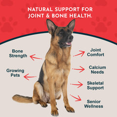 Seaweed Calcium measured scoop from Animal Essentials for precise dosing