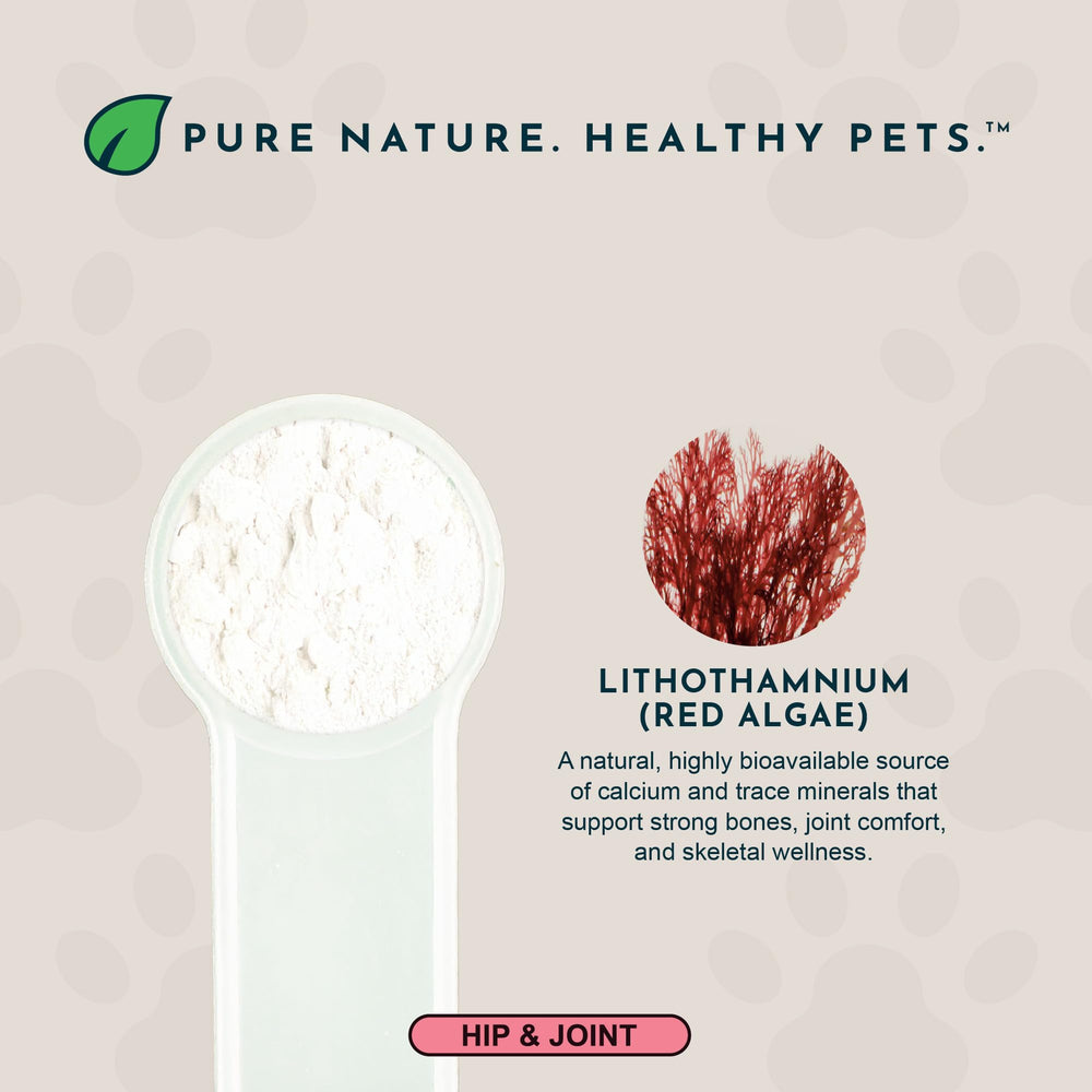 Powder being poured from Animal Essentials Seaweed Calcium into pet food