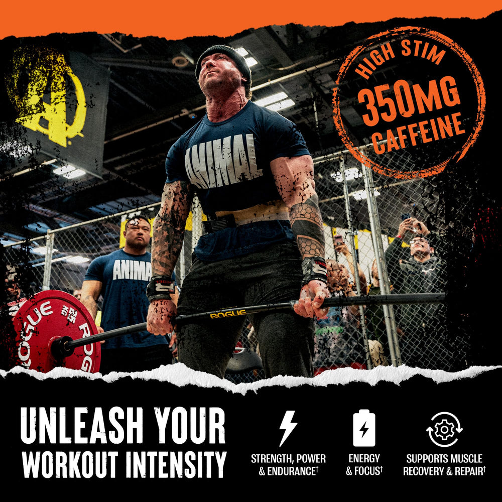 BCAA amino acids in Animal Fury aiding recovery and training consistency.