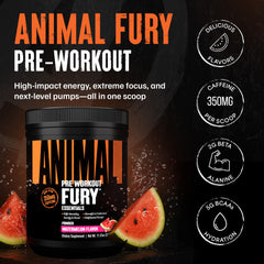 Animal Fury Watermelon pre-workout scoop dispensing powder before training.