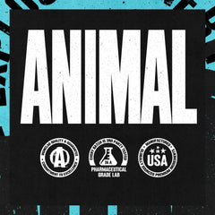 Animal Juiced Aminos post-workout use highlights recovery and energy support.