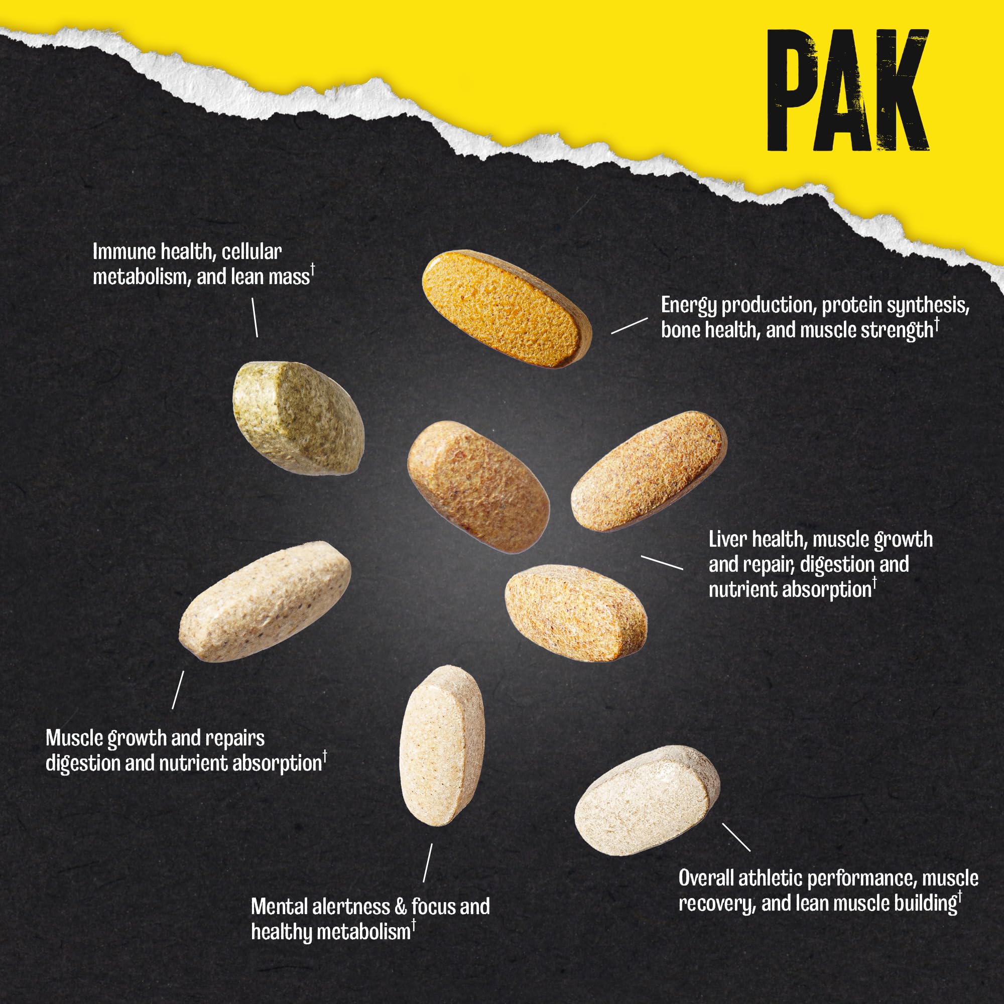 Animal Pak enhances daily routine for performance and vitality