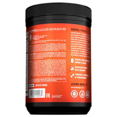 Animal Primal New Blood Orange flavor in glass signaling refreshing taste and energy boost.