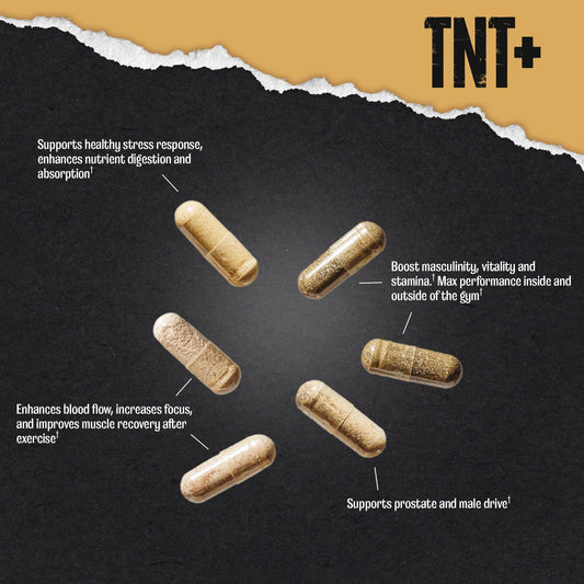 Close-up of Animal TNT+ capsules highlighting vitality and performance benefits.