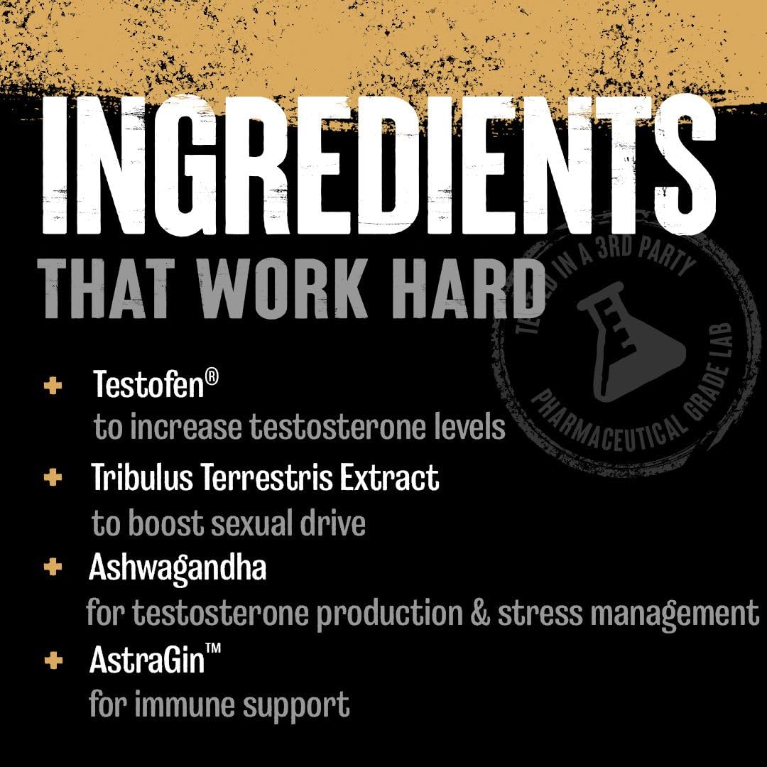 Animal TNT+ nitric-oxide support visual suggesting improved blood flow during workouts.
