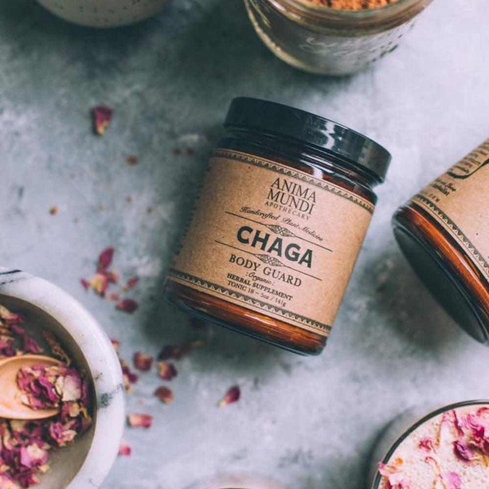 Anima Mundi Chaga powder in a coffee cup for a morning ritual.